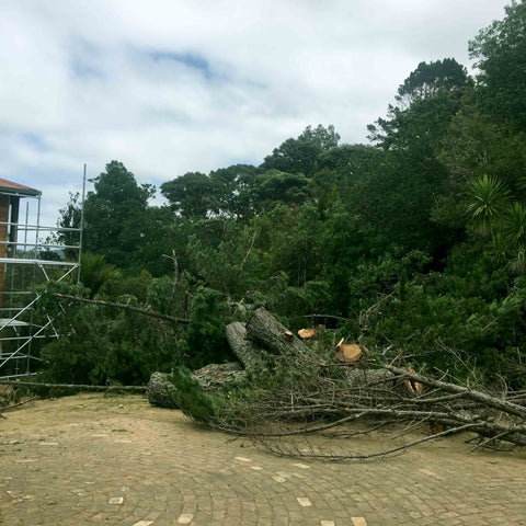 Helicopter Tree Removal - Clean Up