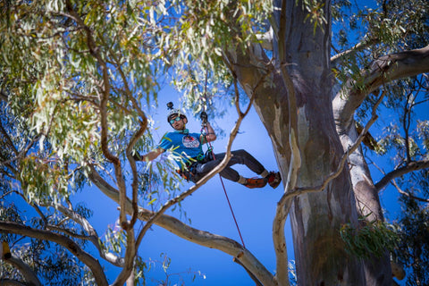 Sam Turner, Arborist taking a big swing at the Red Bull climbing competition