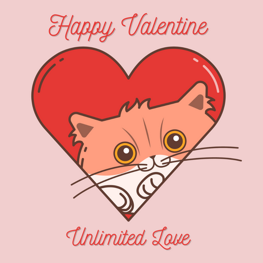 10 Purrfect Gift Ideas for Pawsome Valentine’s Day