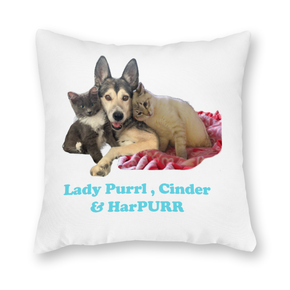 Lady Purrl, Cinder, and HarPURR Official Pillowcase