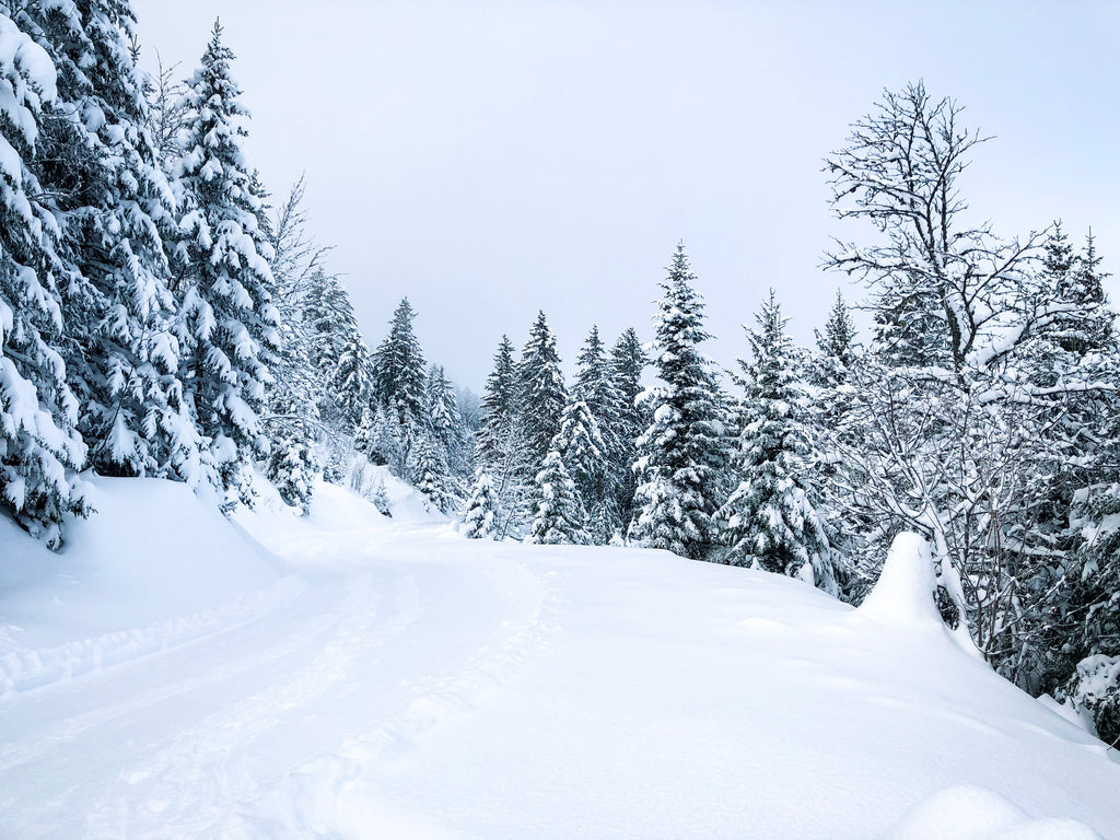Nature with snow - Whitepod, Switzerland