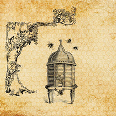 A sketch of a beehive from the 18th century