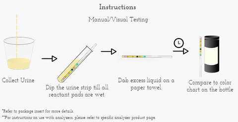 10305-2  Urine Reagent Strips - 10 parameters teco instruction pic