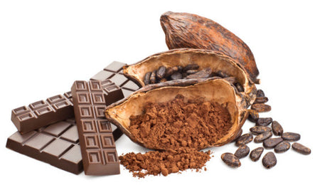 Discovery of Chocolate And The Aztechs