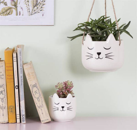 Cat Whiskers Planter
