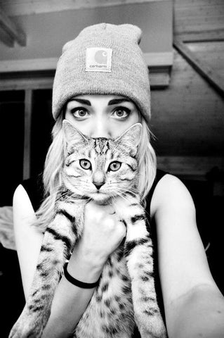 Cats Who Look Like Their Owners