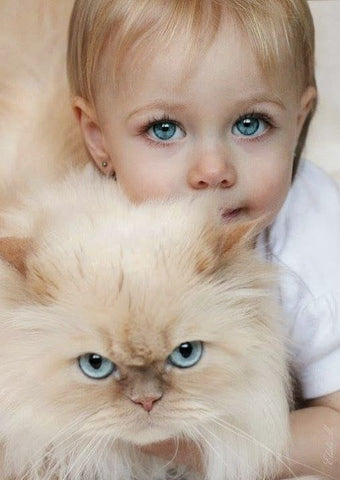 Cats Who Look Like Their Owners