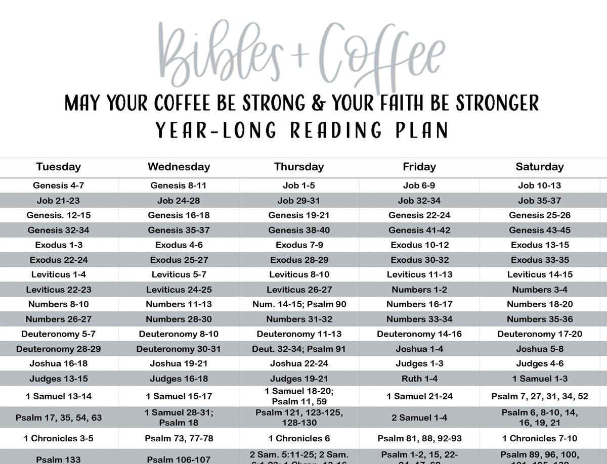 365 Day Chronological Reading Plan (Digital Download) Bibles and Coffee