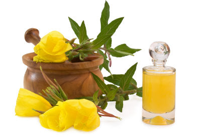 Oenothera Biennis (Evening Primrose) Oil