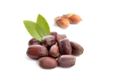 Simmondsia Chinensis (Jojoba) Seed Oil