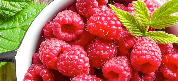 Raspberries in Raspberry Ketone Drops