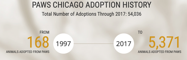 Paws Chicago rescue numbers