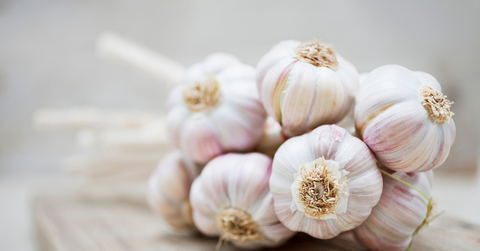 prebiotic-vegetables-garlic-sungenomics