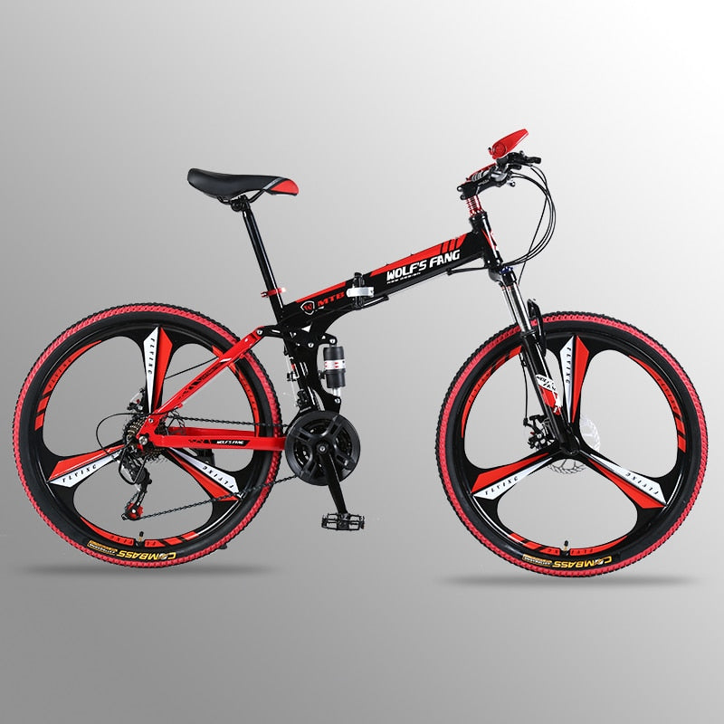 folding bike