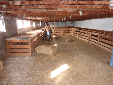 WeatherWool sources raw wool fiber from Jewell Ranch in Colorado, home of superior sheep breeding stock