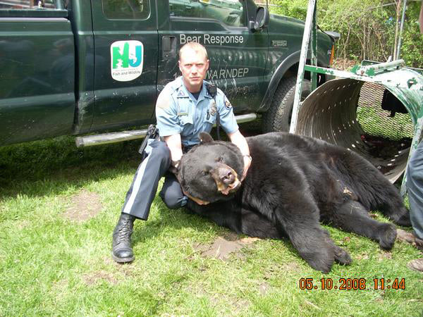 New Jersey Monster Black Bear, 726 pounds in May