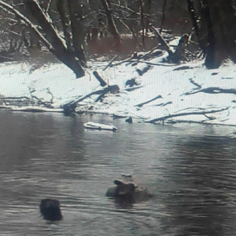 WeatherWool Founder Ralph swimming in icy river