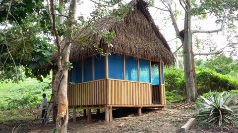 Ampiri jungle hut 