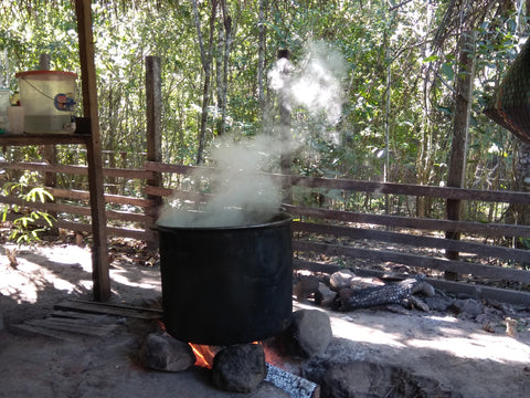 Boiling Ayahuasca