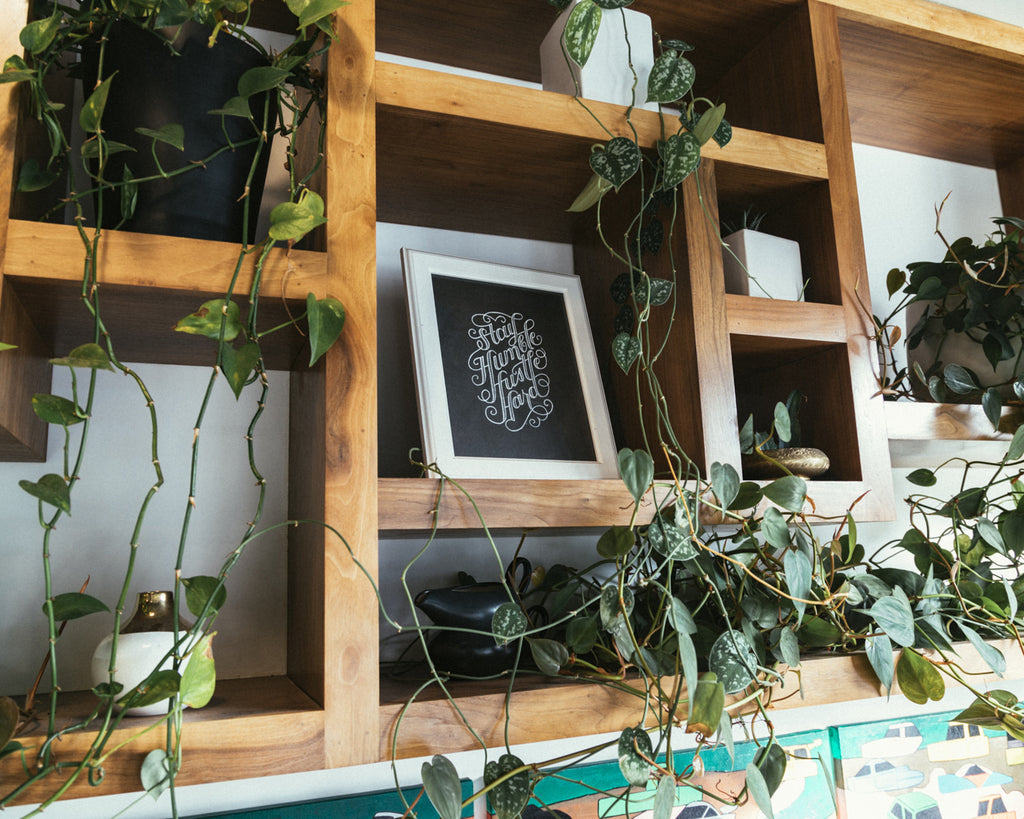 Shop shelving at Good Coffee Portland