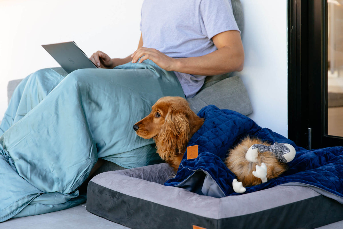 Dog Blanket | Pet Blanket | Weighted Blanket For Dogs | Neptune Blanket