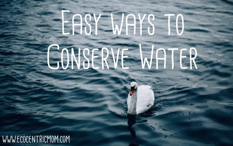 Easy Ways to Conserve Water
