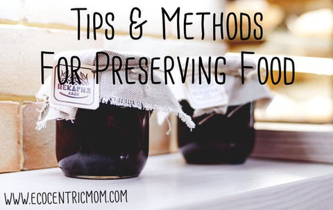 Tips and Methods For Preserving Food