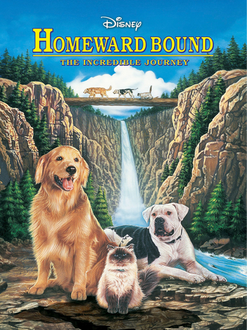 Homeward Bound - Holiday Movie for Dog Lovers