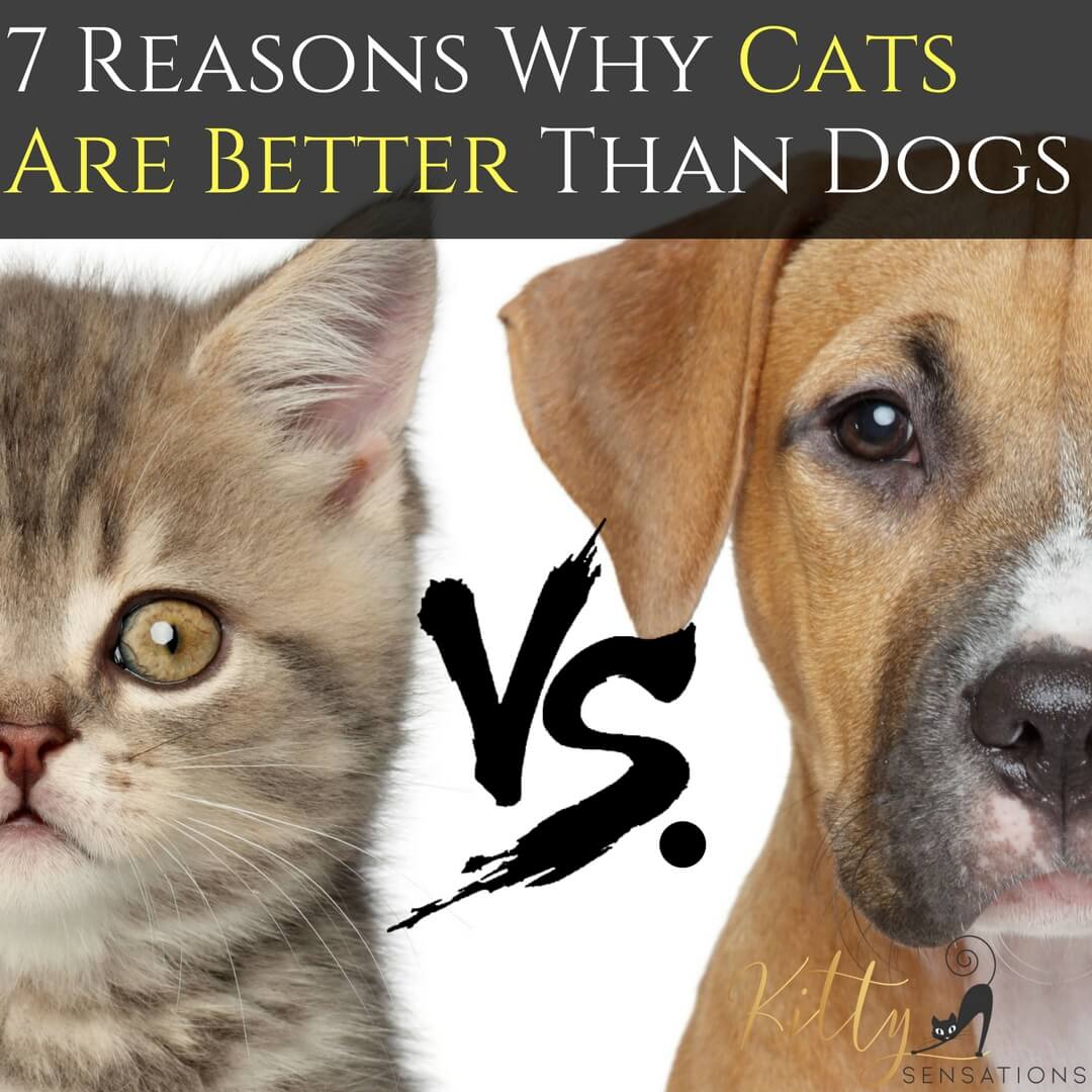 who has better hearing cats or dogs