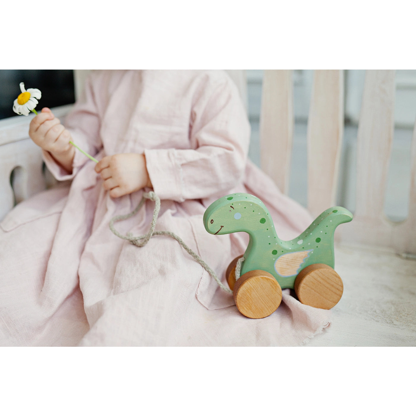 Pull Toy Dinosaur