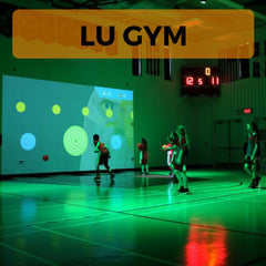 Interactive Fitness Games Buying Guide, Lu Gym, Lu Playground