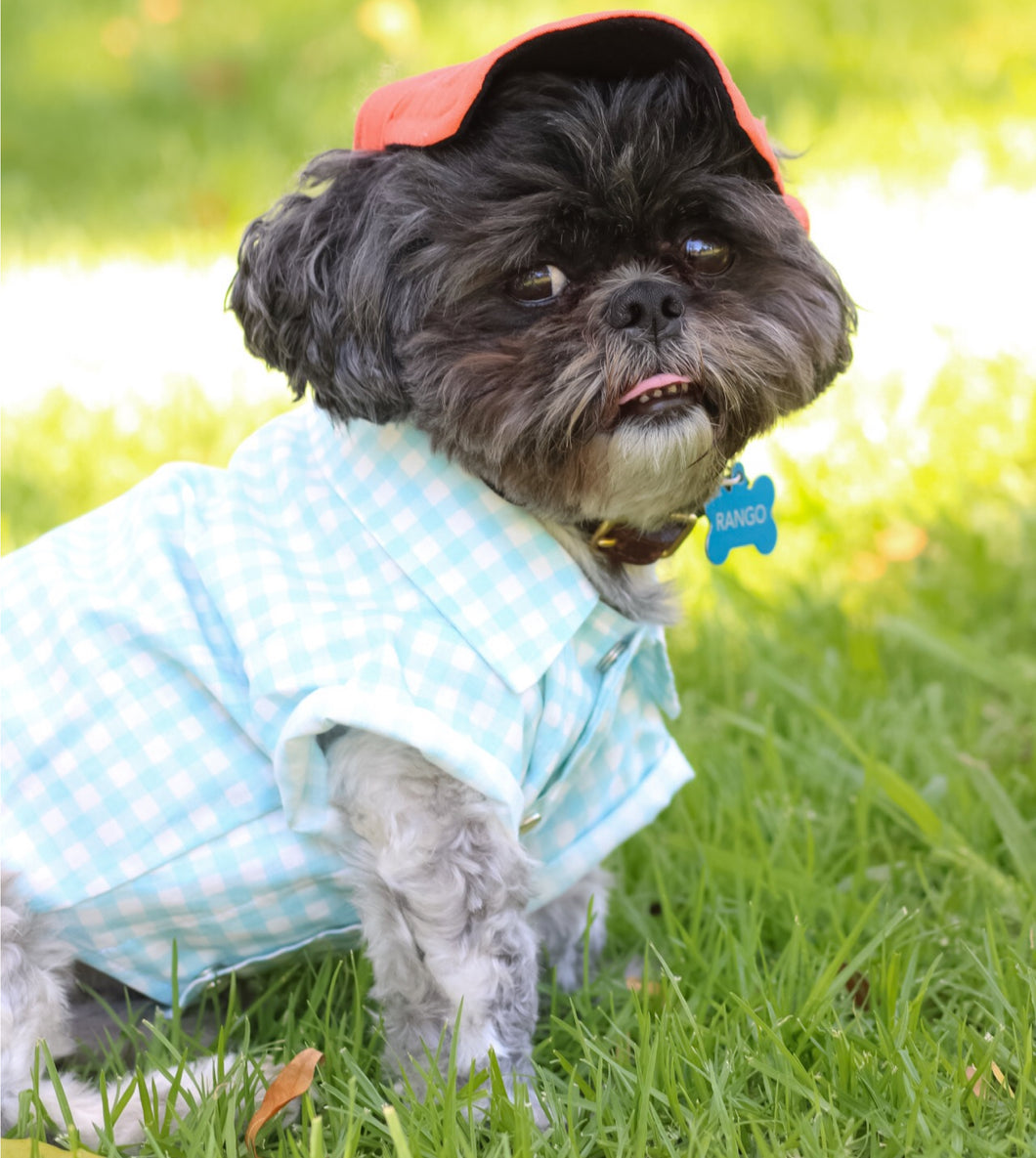 Baby Blues Shirt