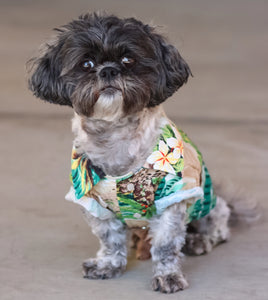 Beachside Shirt