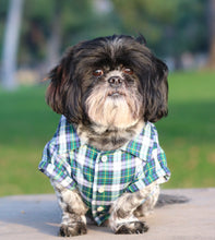 Hunter Plaid Shirt