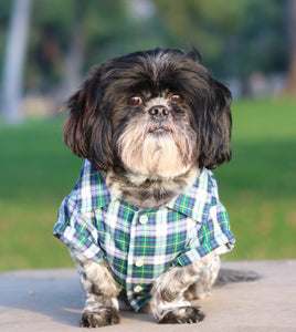 Hunter Plaid Shirt