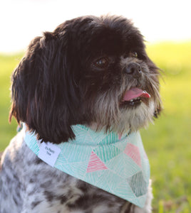 Flock Yeah Bandana