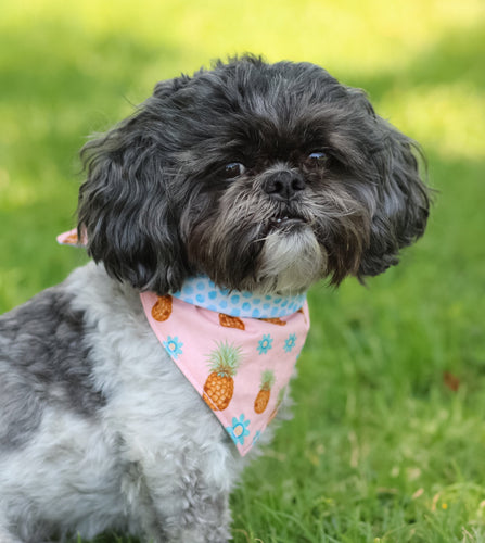 Piña Colada Bandana