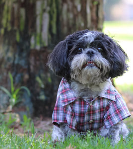 Rango Plaid Shirt