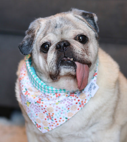 Flora Bandana