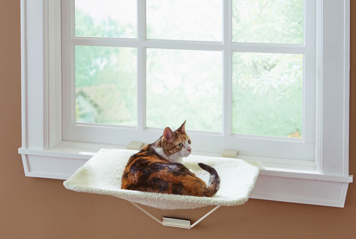 cat window perch for large cats