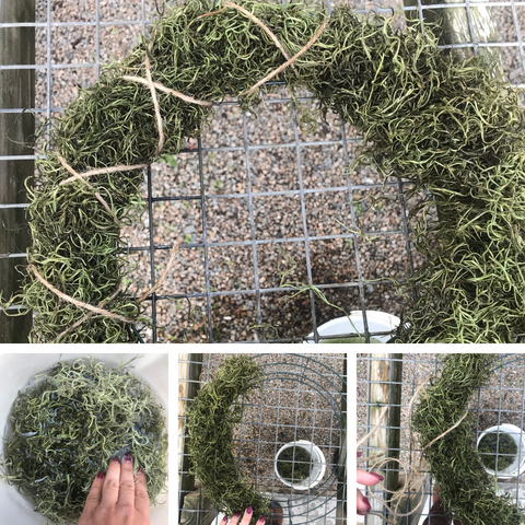 Soak and place moss on frame; attach with twine.