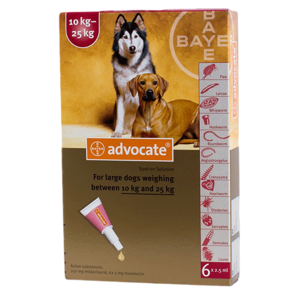 advocate treatment for dogs