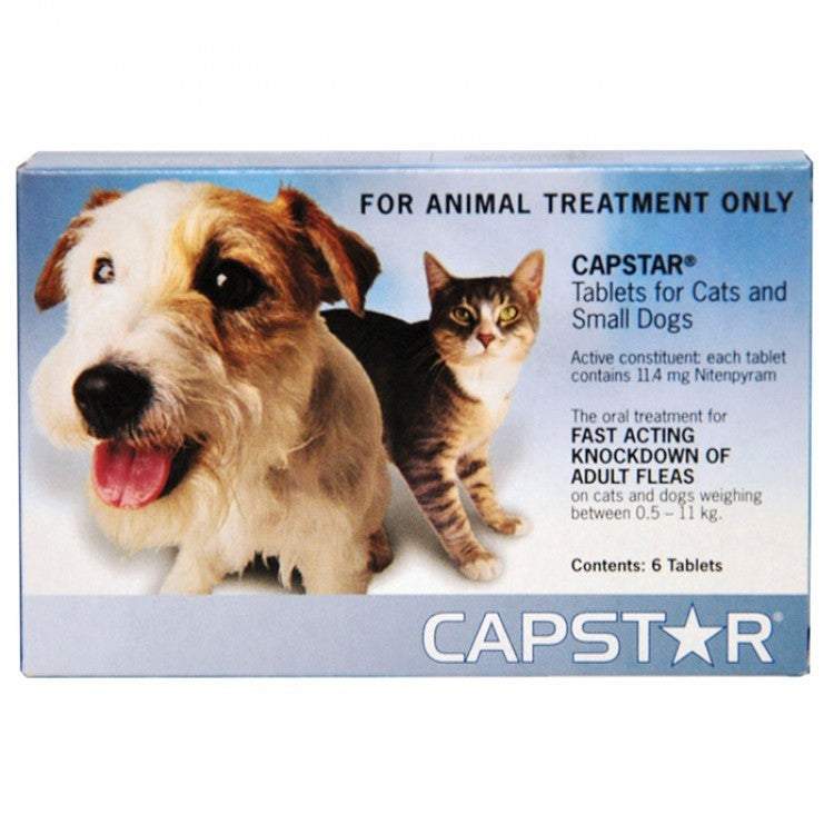 Capstar Flea Treatment For Dogs and Cats From 19.95 Paradise Petstore