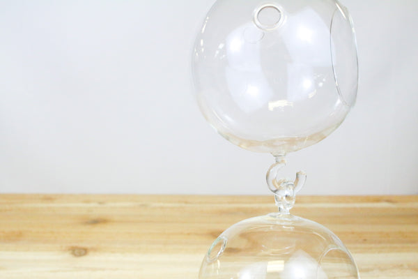 Wholesale: Double Hook Hanging Globe Terrariums [Min Order 12]