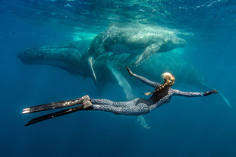 ocean ramsey diving with humpback family