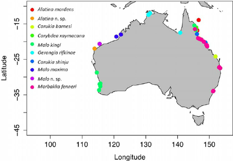 irukandji species distribution in australia