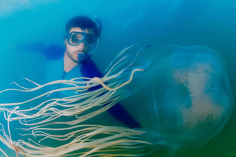 swimmer with box jellyfish