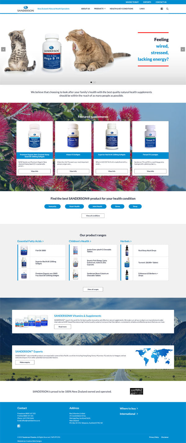 custom designed shopify website