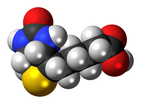 biotin molecule