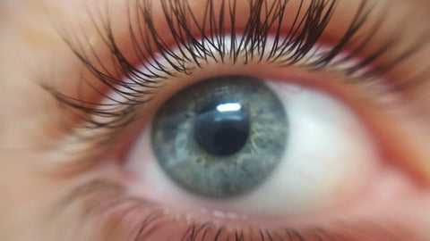 close up photo of eye with full eyelash